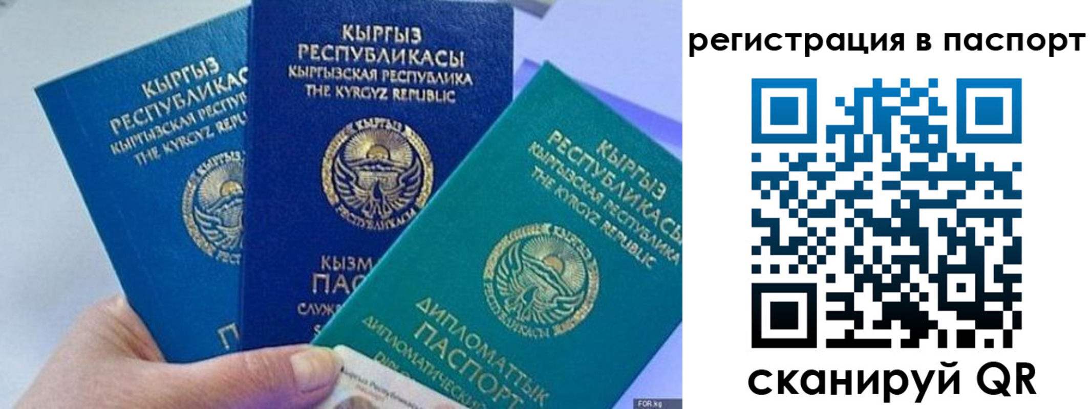 прописка 2025 в Агрызе